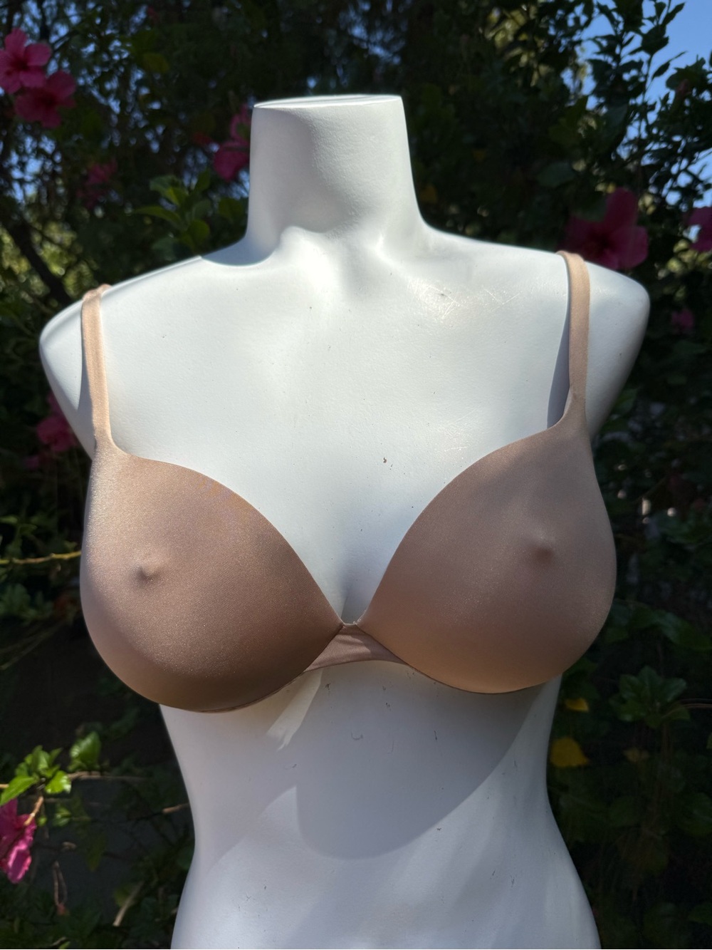 Skims ultimate nipple push up bra